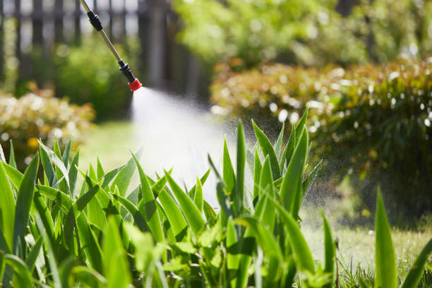 24/7 Emergency Wasp Removal experts in Kingston Springs, TN